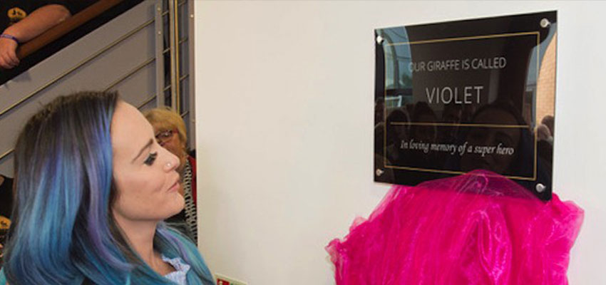 Portico Nursery Now Open At Mere Grange